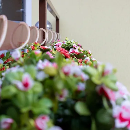 Zum Ostseestrand Lejlighed *